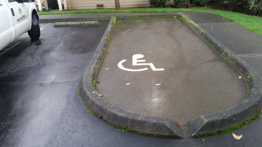 Een parkeerplek die is gemarkeerd als toegankelijk is omgeven door een aaneengesloten stoeprand